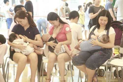 深圳哪里有母乳服务