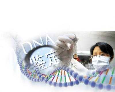在金城江哪里可以做DNA鉴定