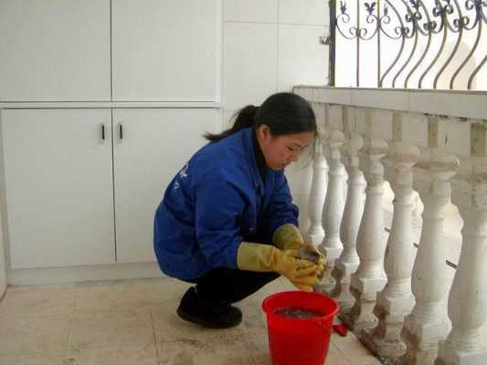  南京做家政保洁多少一个月「南京做家政保洁一个月多少钱」